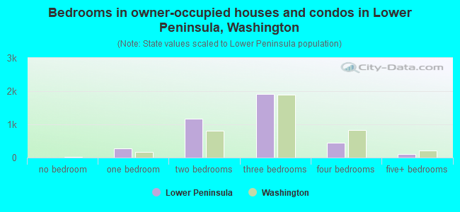 Bedrooms in owner-occupied houses and condos in Lower Peninsula, Washington