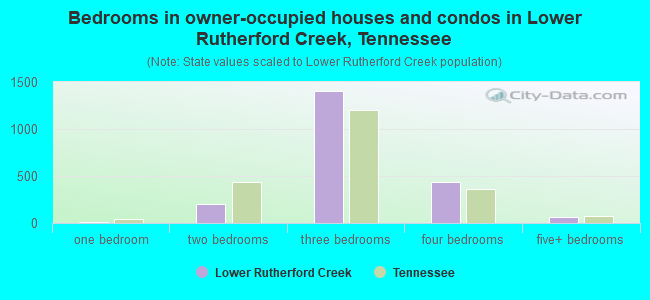 Bedrooms in owner-occupied houses and condos in Lower Rutherford Creek, Tennessee