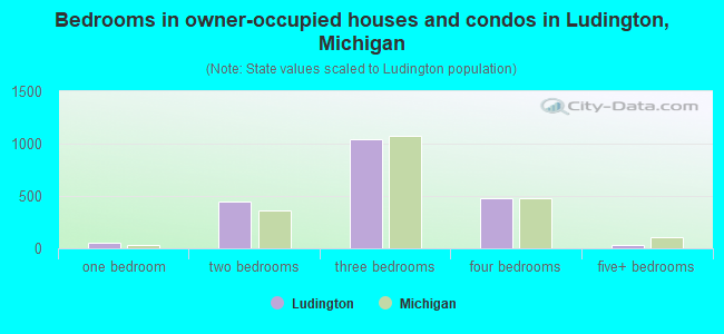 Bedrooms in owner-occupied houses and condos in Ludington, Michigan