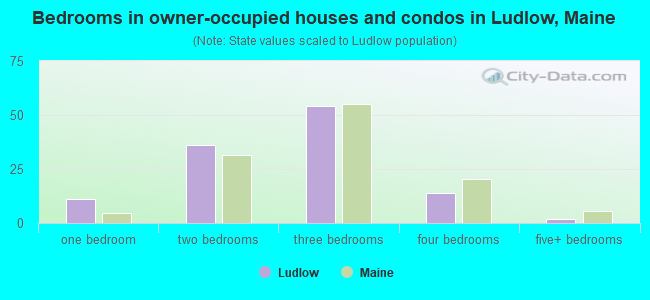 Bedrooms in owner-occupied houses and condos in Ludlow, Maine