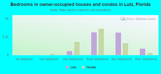 Bedrooms in owner-occupied houses and condos in Lutz, Florida