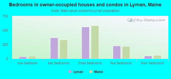 Bedrooms in owner-occupied houses and condos in Lyman, Maine