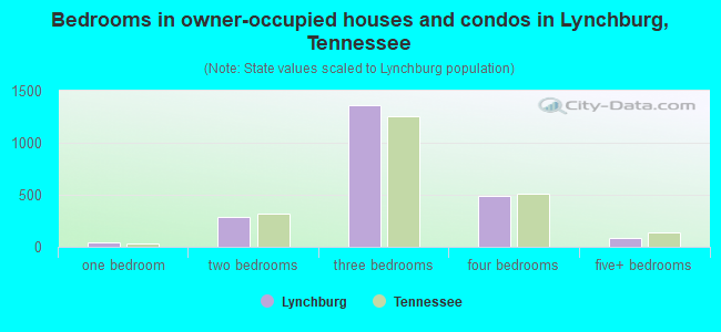 Bedrooms in owner-occupied houses and condos in Lynchburg, Tennessee