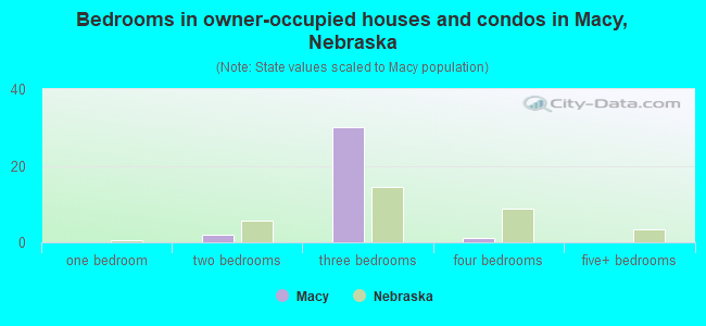 Bedrooms in owner-occupied houses and condos in Macy, Nebraska