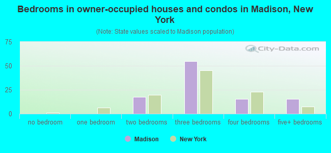Bedrooms in owner-occupied houses and condos in Madison, New York