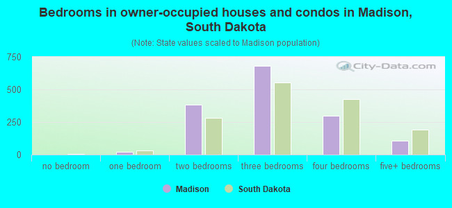 Bedrooms in owner-occupied houses and condos in Madison, South Dakota