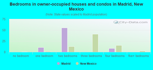Bedrooms in owner-occupied houses and condos in Madrid, New Mexico