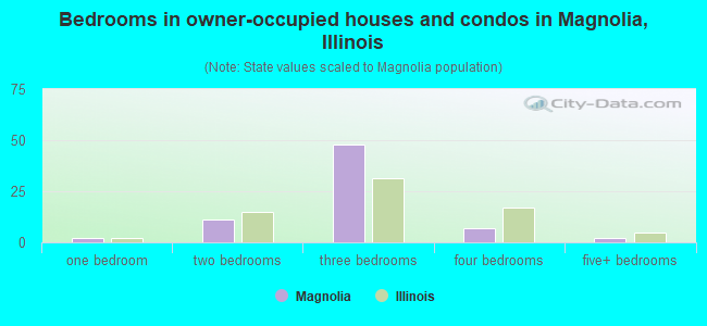 Bedrooms in owner-occupied houses and condos in Magnolia, Illinois