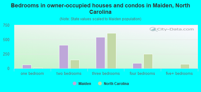 Bedrooms in owner-occupied houses and condos in Maiden, North Carolina