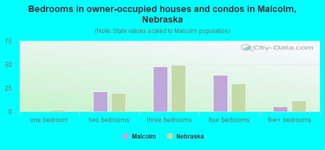 Bedrooms in owner-occupied houses and condos in Malcolm, Nebraska