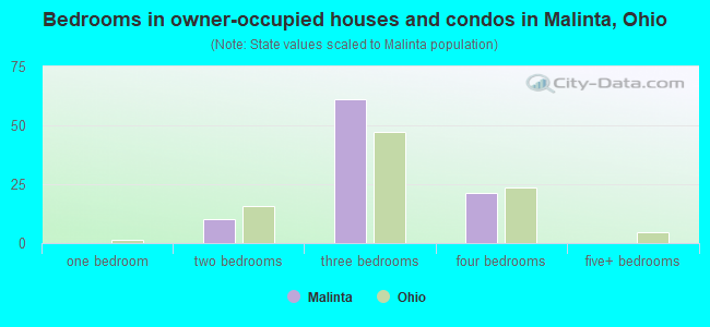 Bedrooms in owner-occupied houses and condos in Malinta, Ohio