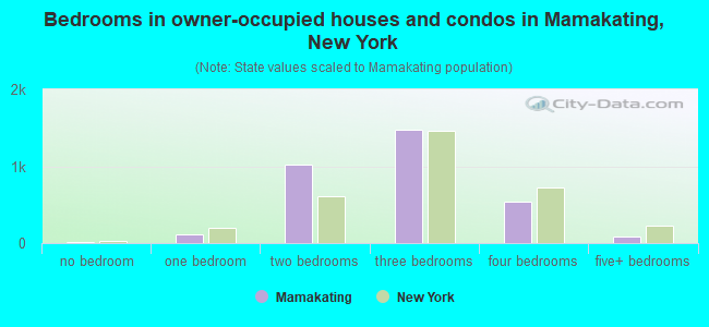 Bedrooms in owner-occupied houses and condos in Mamakating, New York