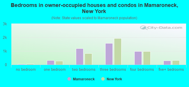 Bedrooms in owner-occupied houses and condos in Mamaroneck, New York