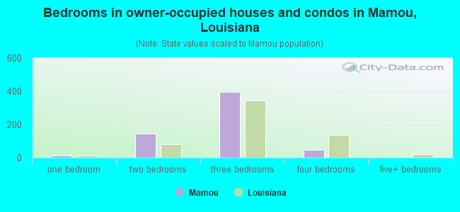 Bedrooms in owner-occupied houses and condos in Mamou, Louisiana