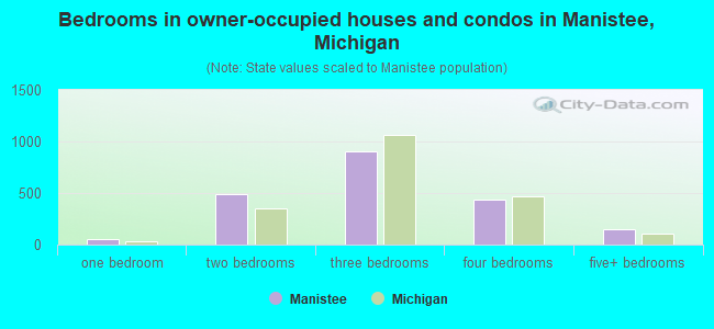 Bedrooms in owner-occupied houses and condos in Manistee, Michigan
