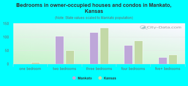 Bedrooms in owner-occupied houses and condos in Mankato, Kansas