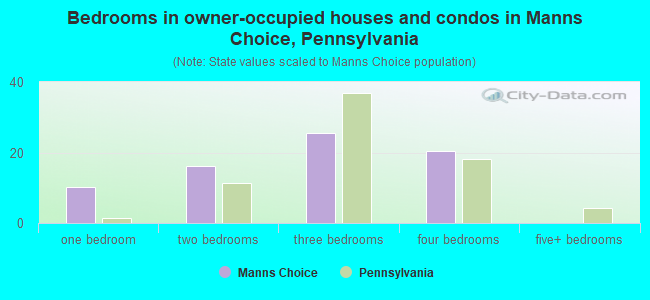 Bedrooms in owner-occupied houses and condos in Manns Choice, Pennsylvania