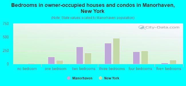 Bedrooms in owner-occupied houses and condos in Manorhaven, New York