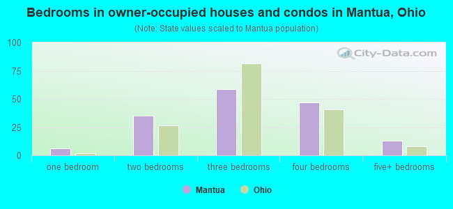Bedrooms in owner-occupied houses and condos in Mantua, Ohio