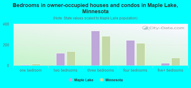 Bedrooms in owner-occupied houses and condos in Maple Lake, Minnesota