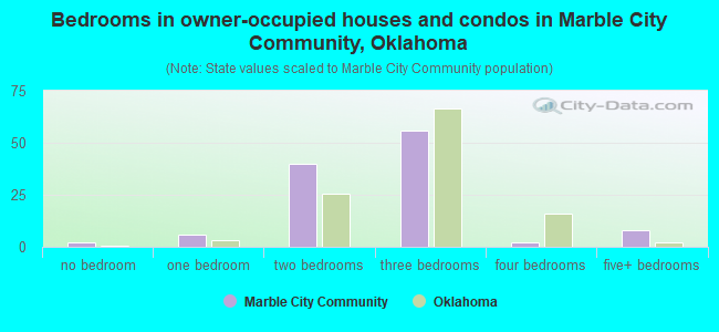 Bedrooms in owner-occupied houses and condos in Marble City Community, Oklahoma