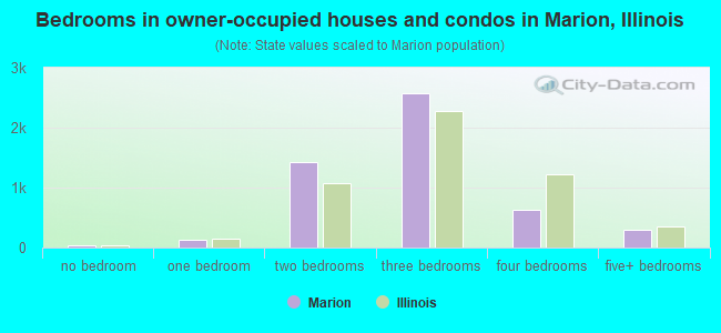 Bedrooms in owner-occupied houses and condos in Marion, Illinois