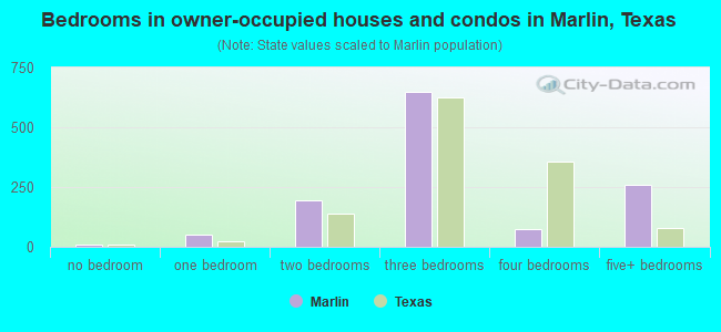 Bedrooms in owner-occupied houses and condos in Marlin, Texas