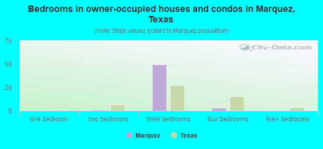 Bedrooms in owner-occupied houses and condos in Marquez, Texas