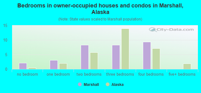 Bedrooms in owner-occupied houses and condos in Marshall, Alaska