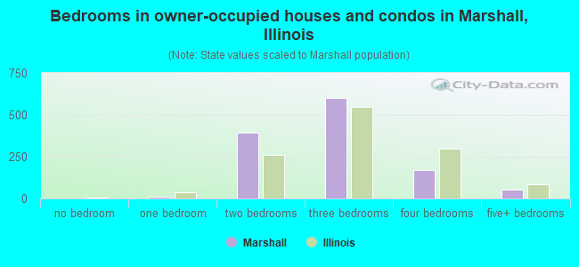 Bedrooms in owner-occupied houses and condos in Marshall, Illinois