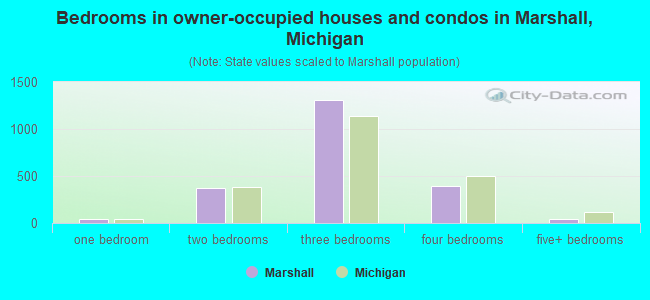 Bedrooms in owner-occupied houses and condos in Marshall, Michigan