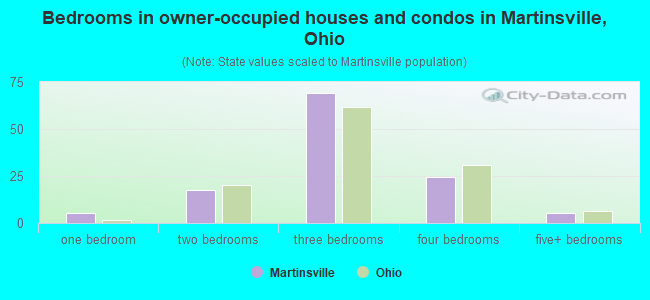 Bedrooms in owner-occupied houses and condos in Martinsville, Ohio