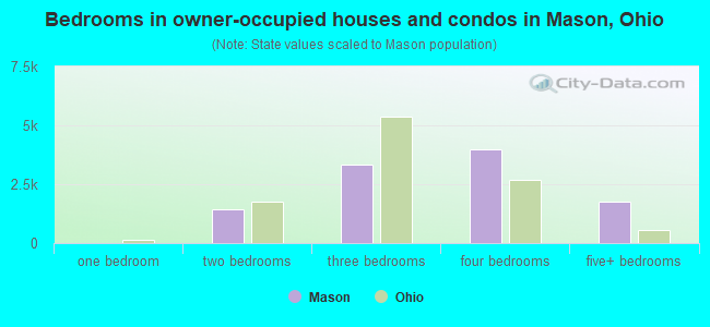 Bedrooms in owner-occupied houses and condos in Mason, Ohio