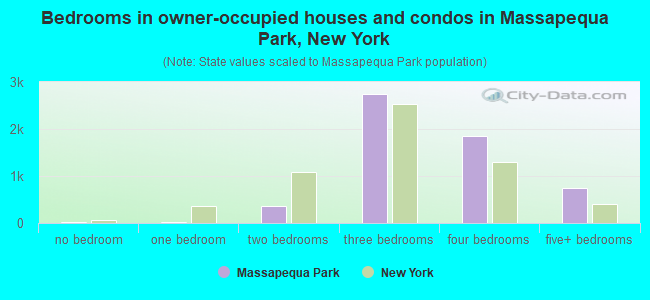 Bedrooms in owner-occupied houses and condos in Massapequa Park, New York