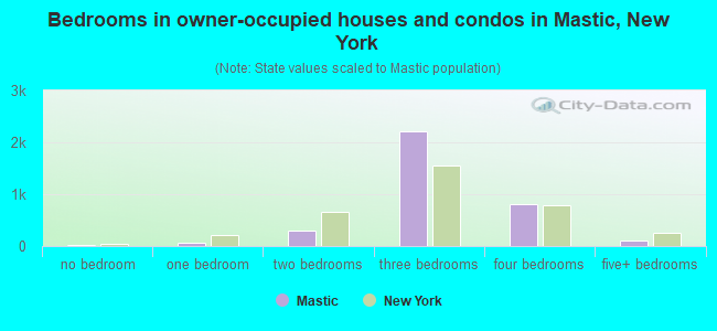 Bedrooms in owner-occupied houses and condos in Mastic, New York