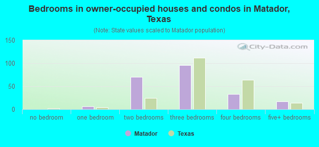 Bedrooms in owner-occupied houses and condos in Matador, Texas