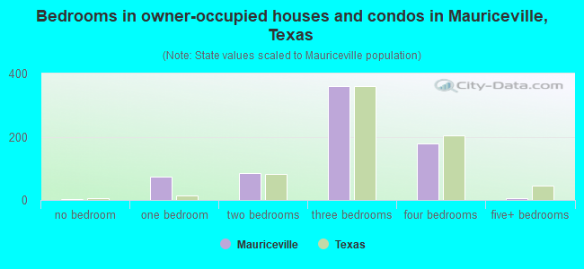 Bedrooms in owner-occupied houses and condos in Mauriceville, Texas