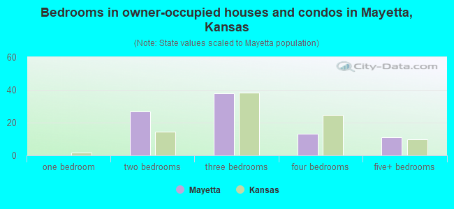 Bedrooms in owner-occupied houses and condos in Mayetta, Kansas