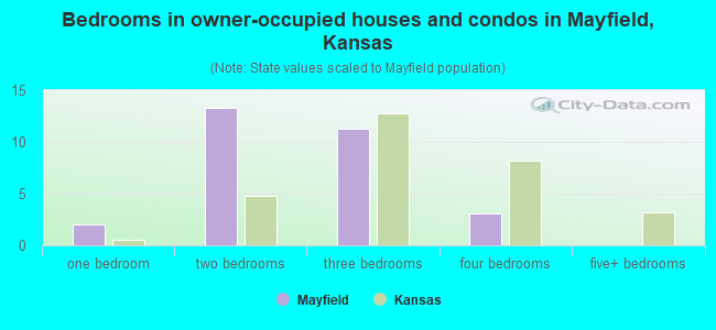 Bedrooms in owner-occupied houses and condos in Mayfield, Kansas