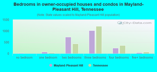 Bedrooms in owner-occupied houses and condos in Mayland-Pleasant Hill, Tennessee