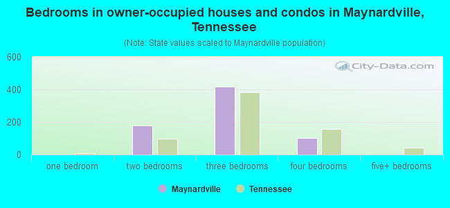 Bedrooms in owner-occupied houses and condos in Maynardville, Tennessee