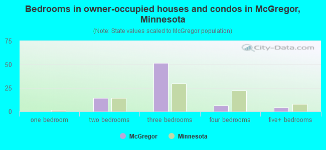 Bedrooms in owner-occupied houses and condos in McGregor, Minnesota