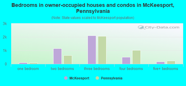 Bedrooms in owner-occupied houses and condos in McKeesport, Pennsylvania