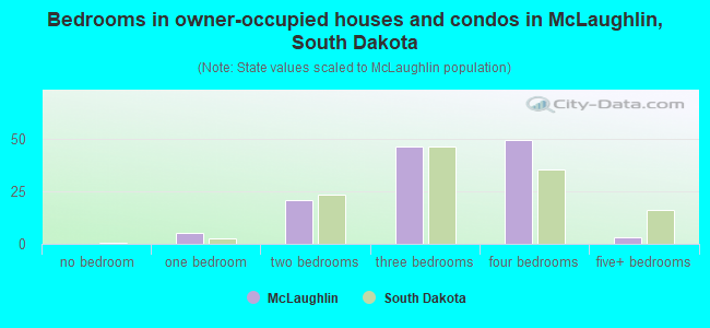 Bedrooms in owner-occupied houses and condos in McLaughlin, South Dakota