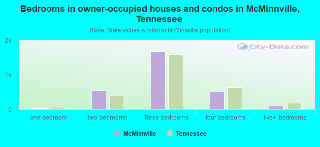 Bedrooms in owner-occupied houses and condos in McMinnville, Tennessee