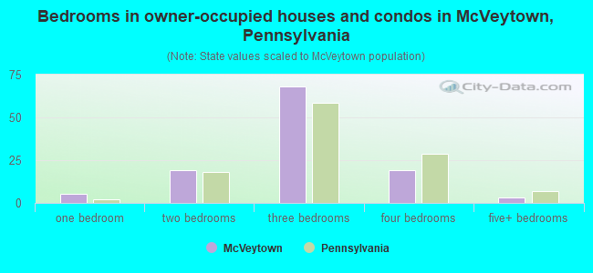 Bedrooms in owner-occupied houses and condos in McVeytown, Pennsylvania