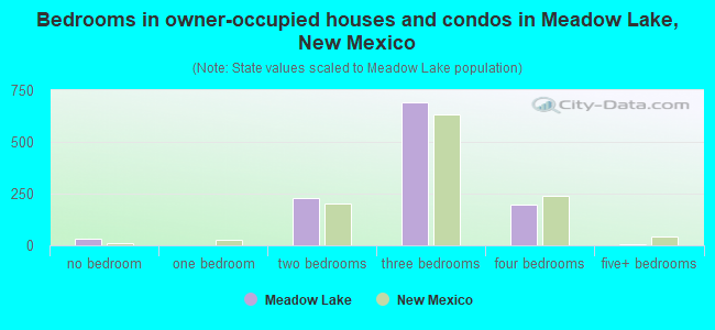 Bedrooms in owner-occupied houses and condos in Meadow Lake, New Mexico