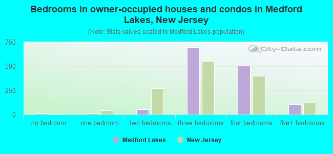 Bedrooms in owner-occupied houses and condos in Medford Lakes, New Jersey