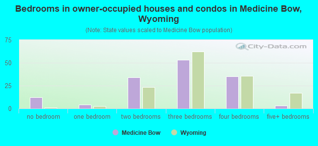 Bedrooms in owner-occupied houses and condos in Medicine Bow, Wyoming