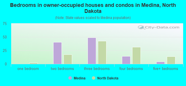 Bedrooms in owner-occupied houses and condos in Medina, North Dakota